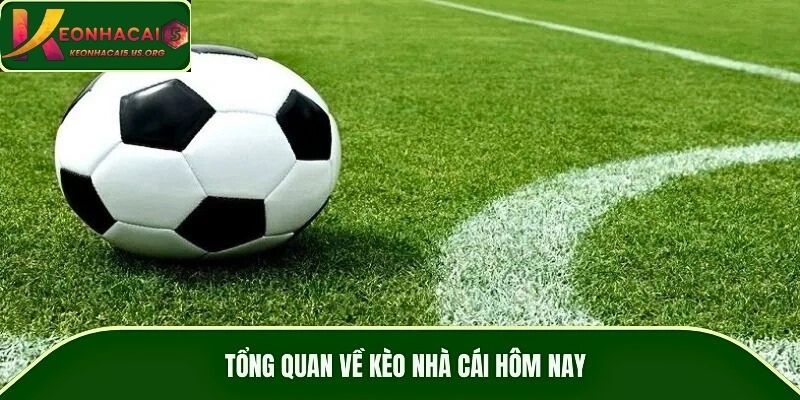 Tổng quan về kèo nhà cái hôm nay